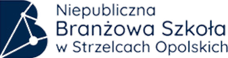 Niepubliczna Branżowa Szkoła